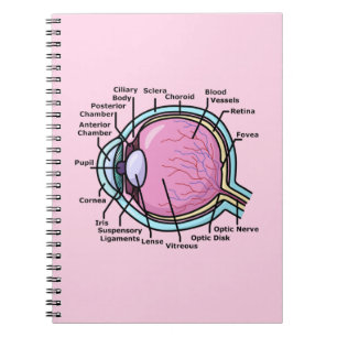 Caderno Espiral Diagrama do Olho