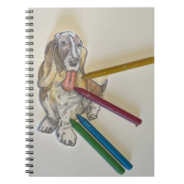 Caderno Espiral Diário Bassie (Frente)