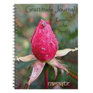 Caderno Espiral Diário da gratitude: Imagem por Richard Copeland