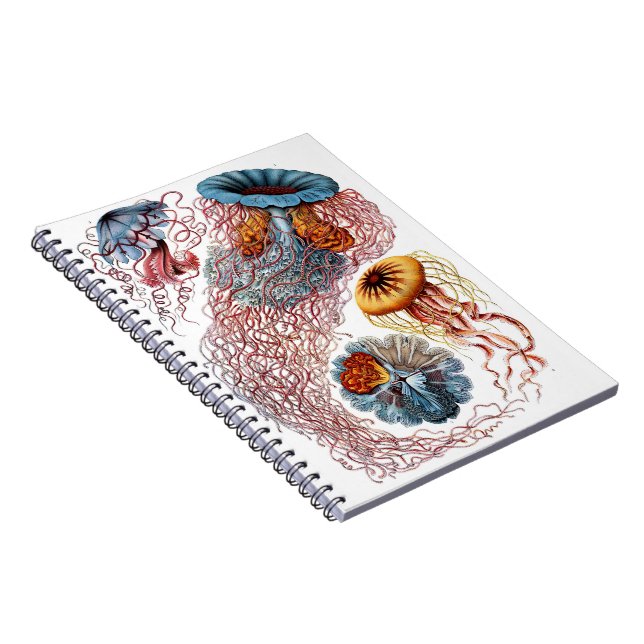 Caderno Espiral Diário das medusa (Lado Direito)