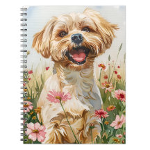 Diário de Aquarela Maltês