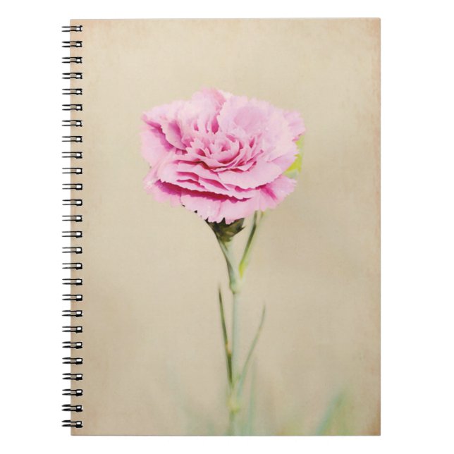 Caderno Espiral Diário de Arte da Flor do Craveiro Rosa (Frente)