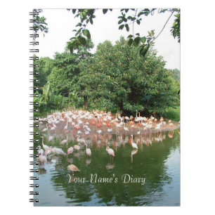 Caderno Espiral diário de bando de flamingos