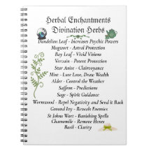 Diário De Bruxaria De Sombras