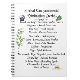 Caderno Espiral Diário De Bruxaria De Sombras