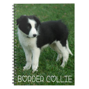 Caderno Espiral Diário de Cachorro Collie Puppy