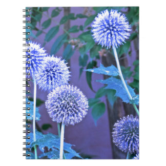 Caderno Espiral diário de escrevendo