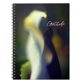 Caderno Espiral Diário de Gratidão Espiral