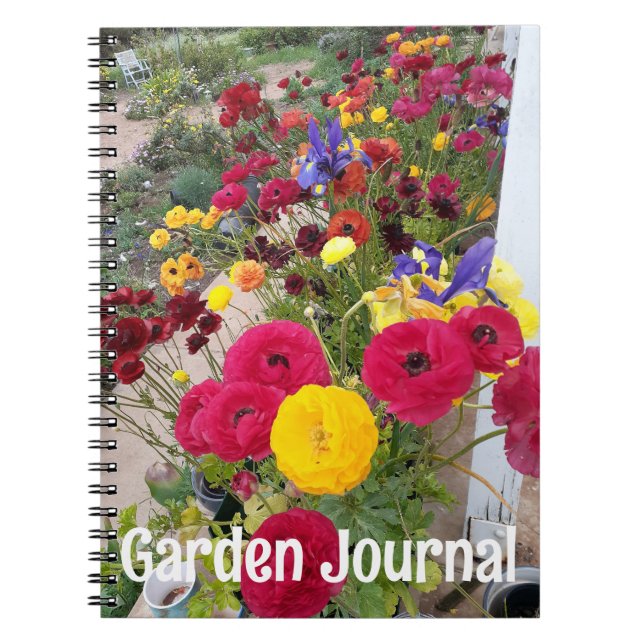 Caderno Espiral Diário de Jardim Ranúnculo Flores Vermelhas de Pri (Frente)