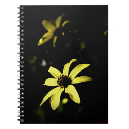 Caderno Espiral Diário de notebook Susan de olhos pretos