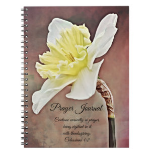 Caderno Espiral Diário de Oração Daffodil Pintado Colossianos 4