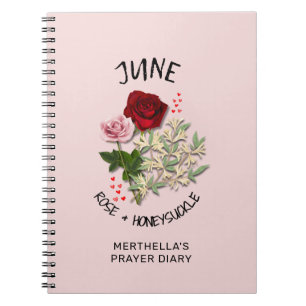 Caderno Espiral Diário de Oração de NASCIMENTO MÊS DE JUNHO Person