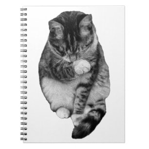 Caderno Espiral Diário Gentle Hush