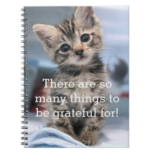 Caderno Espiral Diário grato do gatinho
