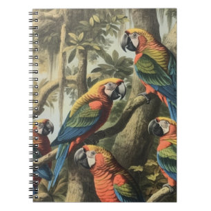 Caderno Espiral Diário Naturalista da Assembleia Aviária & Dossel 