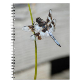 Caderno Espiral Diário Notebook Brown Dragonfly