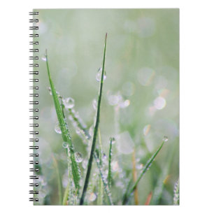Caderno Espiral Diário Orvalho-Coberto do vazio da grama