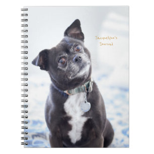 Caderno Espiral Diário Personalizado de Cachorro Cachorro