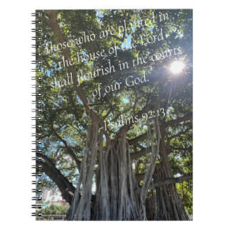 Caderno Espiral Diário planejado