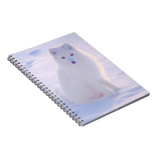 Caderno Espiral Diário Projetado para Fox Winter Fox no Alaska Ar