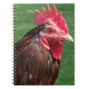 Caderno Espiral Diário Rooster