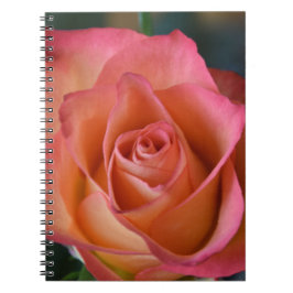 Caderno Espiral Diário Rosa Rosa Rosa Cor-de-Rosa Floral ou Notebo