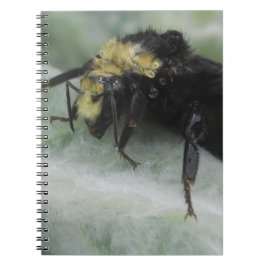 Caderno Espiral Dias de Chuva