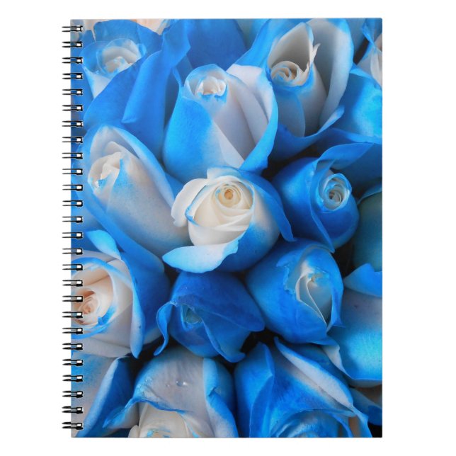 Caderno Espiral Diemudis (Frente)