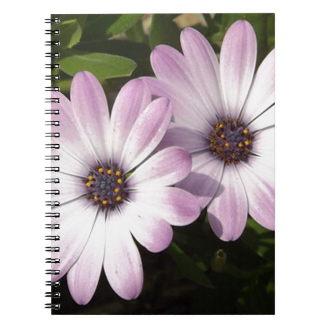 Caderno Espiral Disias Roxas (Frente)