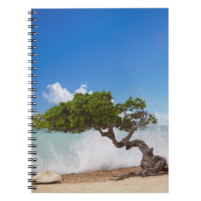 Caderno Espiral Divi Divi Tree, Eagle Beach, Aruba, Caribe (Frente)