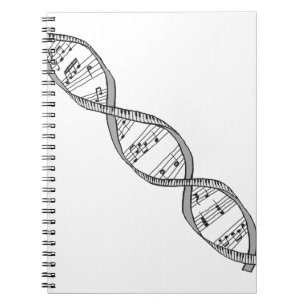 Caderno Espiral DNA musical
