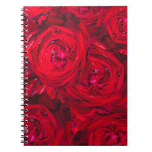 Caderno Espiral Do coração - rosas vermelhas para você!