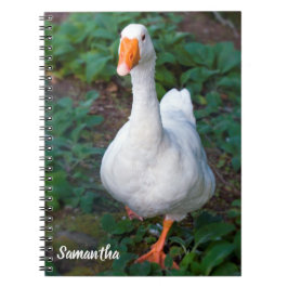 Caderno espiral do ganso