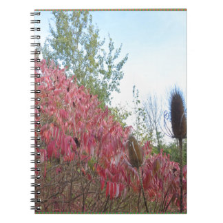 Caderno Espiral Do impressão colorido da natureza do triângulo