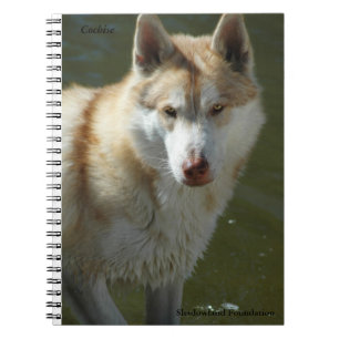 Caderno espiral do lobo