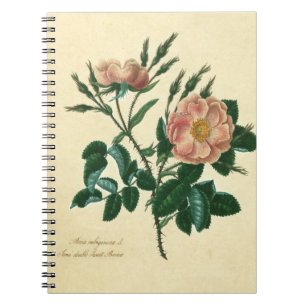 Caderno Espiral Doce Rosa Briar
