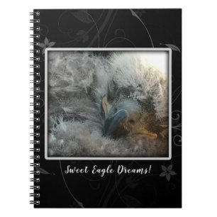 Caderno Espiral Doces Sonhos de Águia