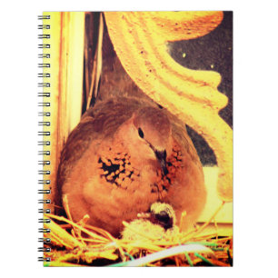 Caderno Espiral Doing Mama Dove