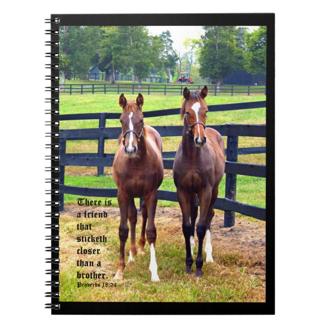 Caderno Espiral Dois amigos com provérbios 18:24 (Frente)