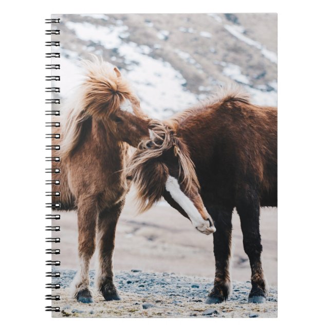CADERNO ESPIRAL DOIS CAVALOS MARAVILHADOS NO CAMPO (Frente)