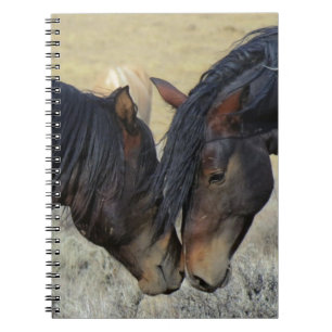 Caderno Espiral Dois cavalos selvagens de Brown que Nuzzling