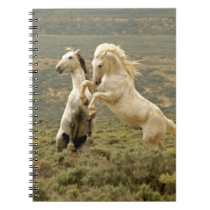Caderno Espiral Dois Garanhões Selvagens Lutam