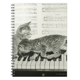 Caderno Espiral Dois gatinhos tocando no teclado de piano, (B&W)
