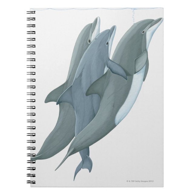 Caderno Espiral Dois golfinhos estrangulados (Frente)