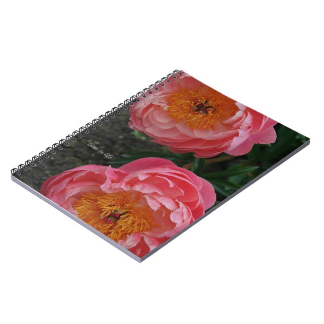 Caderno Espiral Dois Lindos Peões Rosa (Left Side)