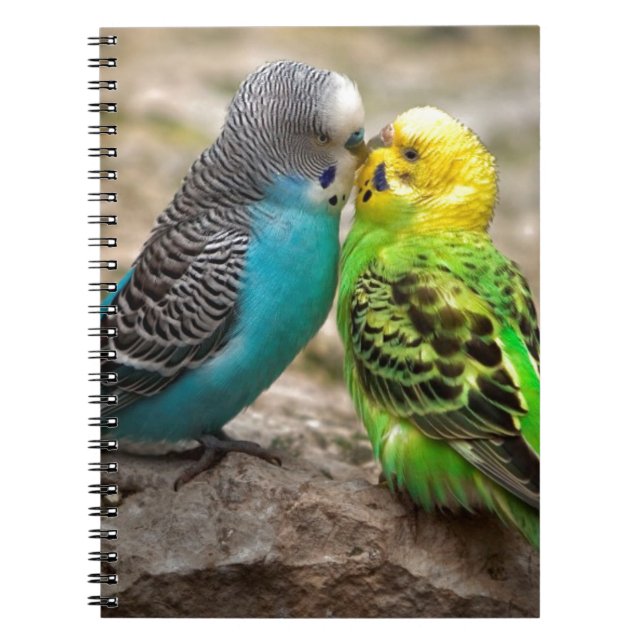 Caderno Espiral Dois Parakeets (Frente)