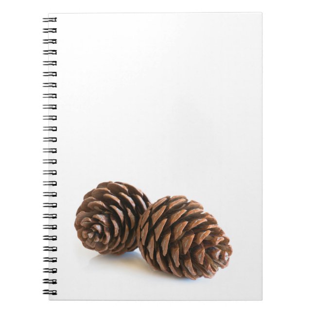 Caderno Espiral Dois pinos (Frente)