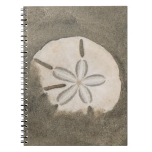 Caderno Espiral Dólar de areia (Echinarachnius parma)