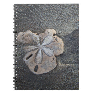 Caderno Espiral Dólar de areia na areia