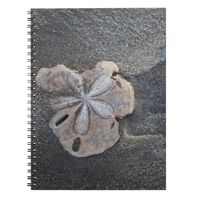 Caderno Espiral Dólar de areia na areia (Frente)